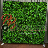Hedge backdrop