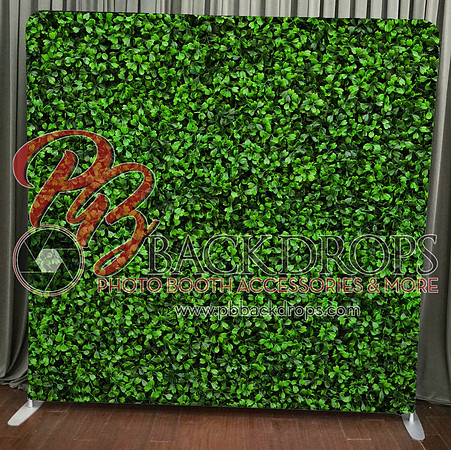 Hedge backdrop